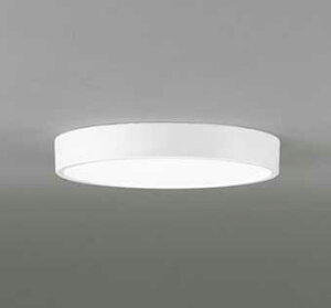 OL251730R I[fbN FLAT PLATE tbgv[g@R15NX2 F@LEDV[OCg@[F][FCL30W][ʔ][ItzCg]