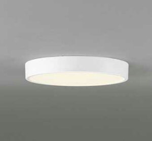 OL251731R I[fbN FLAT PLATE tbgv[g@R15NX2 F@LEDV[OCg@[dF][FCL30W][ʔ][ItzCg]