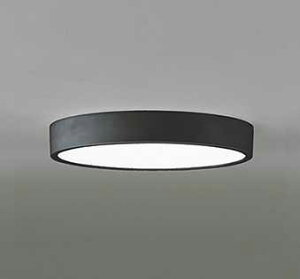 OL251732R I[fbN FLAT PLATE tbgv[g@R15NX2 F@LEDV[OCg@[F][FCL30W][ʔ][ubN]