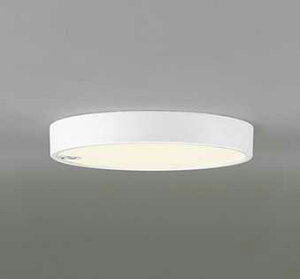 OL251735R I[fbN FLAT PLATE tbgv[g@R15NX2 F@LEDV[OCg@[dF][FCL30W][lZT[t]