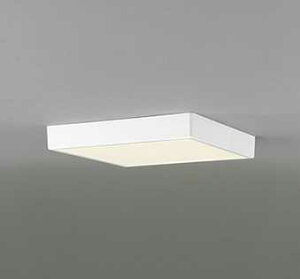 OL251739R I[fbN FLAT PLATE tbgv[g@R15NX2 F@LEDV[OCg@[dF][FCL30W][ʔ]