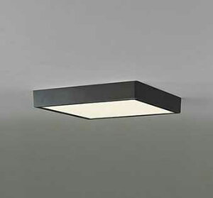 OL251741R I[fbN FLAT PLATE tbgv[g@R15NX2 F@LEDV[OCg@[dF][FCL30W][ʔ]