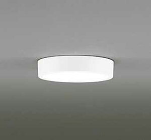 [�����o��] OL251750R �I�[�f���b�N FLAT PLATE �t���b�g�v���[�g�@R15�N���X2 �����F�@LED�V�[�����O���C�g�@[�����F][���M�����100W����]