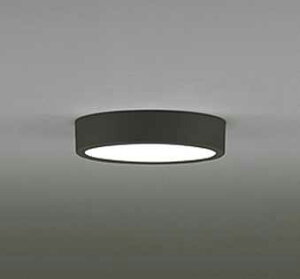 [�����o��] OL251752R �I�[�f���b�N FLAT PLATE �t���b�g�v���[�g�@R15�N���X2 �����F�@LED�V�[�����O���C�g�@[�����F][���M�����100W����][�u���b�N]