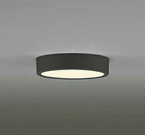 [�����o��] OL251753R �I�[�f���b�N FLAT PLATE �t���b�g�v���[�g�@R15�N���X2 �����F�@LED�V�[�����O���C�g�@[�d���F][���M�����100W����][�u���b�N]
