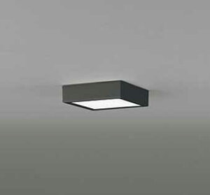 OL251786R I[fbN FLAT PLATE tbgv[g@R15NX2 F@LEDV[OCg@[F][M60W][ʔ]