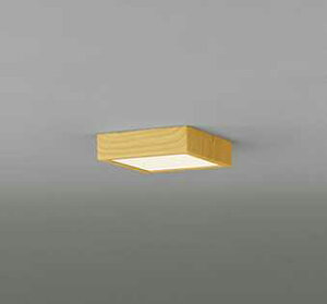 OL251789R I[fbN FLAT PLATE tbgv[g@R15NX2 F@LEDV[OCg@[dF][M60W][ʔ]