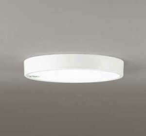 OL251857R I[fbN FLAT PLATE tbgv[g@R15NX2 F@LEDV[OCg@[F][FCL30W][lZT[t]