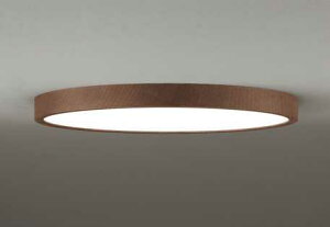 OL291421BR �I�[�f���b�N FLAT PLATE �t���b�g�v���[�g�@R15�N���X2 �����F�@LED�V�[�����O���C�g�@[�d���F�`�����F][�`12��][�����R���ʔ�][�����E���F]