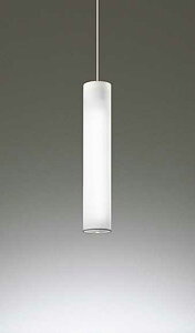 OP552415NR I[fbN R15 NX2 F@LEDy_gCg@[F][FL20W×2]