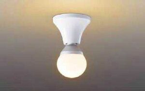 NNN51800 �p�i�\�j�b�N �����v�ʔ��@���^�V�[�����O���C�g�@[E26]