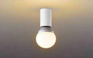 NNN53800 �p�i�\�j�b�N �����v�ʔ��@���^�V�[�����O���C�g�@[E26]