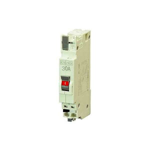 [�����o��] BC2NA30 �e���p�[�� �z���p�Ւf��@�p�[���e�N�g�u���[�J�@30AF/2P2E/30A/100-100/200V
