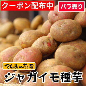 �y�Ă��܂̕c�z��2����{��菇������ �W���K�C�� �^�l�� 1�ʂ��o������ �j�� ���[�N�C�� �L�^�A�J�� �Ƃ��� �A�C�}�T�� �j�V���^�J �A���f�X���b�h �V���V�A �V���h�[�N�C�[�� �m�[�U��