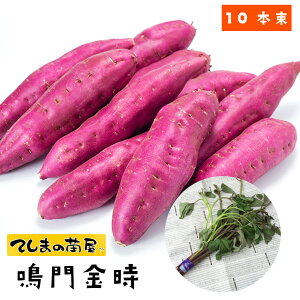 苗 さつまいもの人気商品 通販 価格比較 価格 Com 苗 さつまいもの人気商品 通販 価格比較 価格 Com