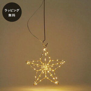 y12܂ł̂œoׁzshesay VZC LEDCg t[[N nMO STAR dr R ^C}[ ` X^[ NX}X fBXvC NX}Xc[  I[ig 