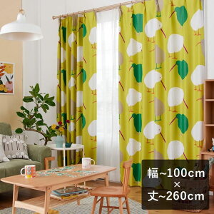 �y����6���ȓ��ɏo�ׁz2���Ռ��J�[�e�� �X�~�m�G �f�U�C�����C�t �uTEKUTEKU KIWI �e�N�e�N�L�[�E�B �C�G���[�v ���`100cm×��`260cm