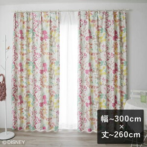 y6ȓɏoׁz2ՌJ[e X~mG fBYj[ uMICKEY Carnival J|jo [Yv `300cm×`260cm