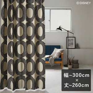 y6ȓɏoׁz2ՌJ[e X~mG fBYj[ uMICKEY Dot ring hbgO ubNv `300cm×`260cm