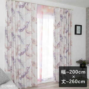 y6ȓɏoׁz2ՌJ[e X~mG fBYj[ uMICKEY Fran t sNv `200cm×`260cm