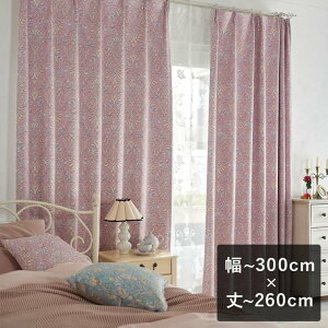 y6ȓɏoׁz2ՌJ[e X~mG fBYj[ uPRINCESS Classic beauty NVbNr[eB[ sNv `300cm×`260cm