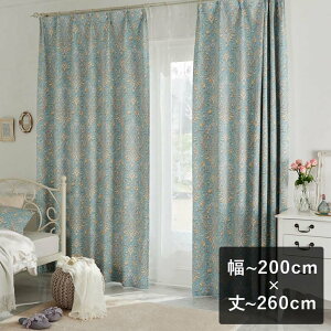 y6ȓɏoׁz2ՌJ[e X~mG fBYj[ uPRINCESS Classic beauty NVbNr[eB[ u[v `200cm×`260cm