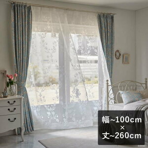 y6ȓɏoׁz[XJ[e X~mG fBYj[ uPRINCESS Classic beauty voile NVbNr[eB[{C zCgv `100cm×`260cm