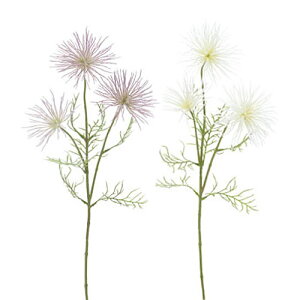  AllV[h izCg / o[KfB[j S65cm A[eBtBVt[ VNt[ ϗtA yA[gt[z