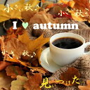 秋ブレンド 300g アイスコーヒー コーヒー豆 季節のブレンド スペシャルティ 珈琲 ブレンド ドリップ 贈り物 THEBEANS ザビーンズ コーヒー豆　珈琲豆　コーヒーまめ　こーひー豆　ko-hi-　ドリップ　こーひー 珈琲豆 the beans