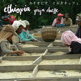 エチオピア イルガチェフェ 200g コーヒー豆 送料無料 まろやかなコク、軽やかなモカの香り　おっ!?