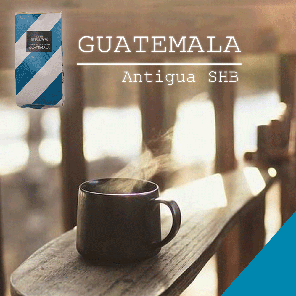 グァテマラ 200g コーヒー豆 スペシャルティ 送料無料 どの焙煎度合でもそれぞれに美味しい！ ミス オールマイティー　ほっ