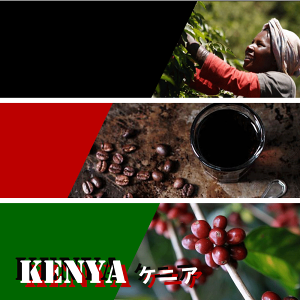 R[q[ PjA LO 300g  R[q[ 蓤 XyVeBR[q[ 30t Xg[g Ur[Y@ǂc@؂₩`