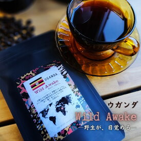 ウガンダ コーヒー豆 Wild Awake 100g/200g/300g ロブスタ 珈琲豆 送料無料 チョコレートのような風味と濃厚なコクナチュラル ファインロブスタ