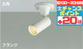 【マラソン中ポイント5倍!!】スポットライト 屋内用 階段 廊下 トイレ 内玄関 ※工事必要 天井・壁面取付可 指定の角度まで傾斜天井可 白熱灯40W相当 電球色(2700K)