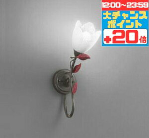 y|Cg20{5܂ŁIzuPbgCg m p F(5000K) HKvǕt L gC   VbN AeB[N g KX