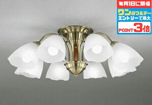 y1_tf[|Cg3{zVfA k dʂɒ `12p F(5000K)KX AeB[N g  킢   GKg NVbN