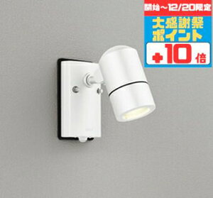 �y�労�Ӎ� �`20���܂Ń|�C���g10�{�z�X�|�b�g���C�g �u���P�b�g���C�g ���H���K�v �ǖʐ�p �l���Z���T�[�t�� �������O���p ���M��50W���� �d���F(2700K)