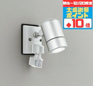 �y�労�Ӎ� �`20���܂Ń|�C���g10�{�z�X�|�b�g���C�g �u���P�b�g���C�g �t���b�V���@�\�t ���H���K�v �ǖʐ�p �l���Z���T�[�t�� �������O���p ���M��50W���� �����F(5000K)