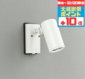 �y�労�Ӎ� �`20���܂Ń|�C���g10�{�z�X�|�b�g���C�g �u���P�b�g���C�g �~�f�B�A��(���p) ���H���K�v �ǖʐ�p �l���Z���T�[�t�� �������O���p JDR75W���� �����F(5000K)