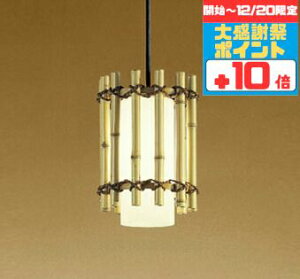 �y�労�Ӎ� �`20���܂Ń|�C���g10�{�z�y���_���g���C�g �a�� 4.5��ȉ��E���^ ���|���V�[�����O��t ���M��60W���� �d���F�`�����F �������F Bluetooth�Ή�