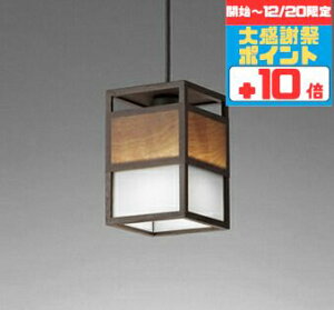 �y�労�Ӎ� �`20���܂Ń|�C���g10�{�z�y���_���g���C�g �a�� 4.5��ȉ��E���^ ���|���V�[�����O��t ���M��100W���� �����F(5000K)