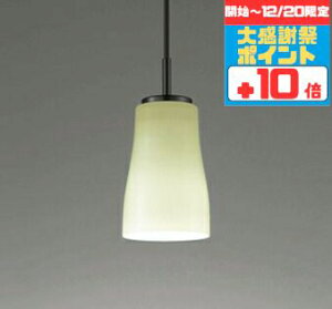 �y�労�Ӎ� �`20���܂Ń|�C���g10�{�z�y���_���g���C�g �a�� 4.5��ȉ��E���^ ���|���V�[�����O��t ���M��60W���� �����F(5000K)