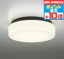 [マラソン中5％OFF]ブラケットライト バスルーム 洋風 屋内屋外兼用 防湿対応 一般浴室可 天井面・傾斜面取付可 電球…