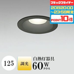 y2020:00`23:59|Cg10{z_ECg J125 dF(2700K) M60W ubN  ʔΉ HKv SB^(C fMޑΉ^) z103° gU |