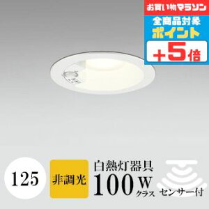 y}\|Cg5{!!z_ECg J125 dF(2700K) M100W FR[ zCg HKv SB`(C fMޑΉ^) A~_CJXg lZT[