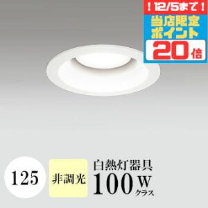 y|Cg20{5܂ŁIz_ECg J125 F(3500K) M100W zCg HKv SB^(C fMޑΉ^) z16° gU tbg`LED