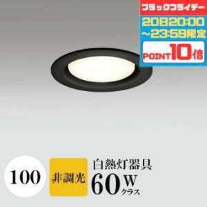 y2020:00`23:59|Cg10{z_ECg J100 dF(2700K) M60W ubN HKv SB^(C fMޑΉ^) z114° gU tbg`LED