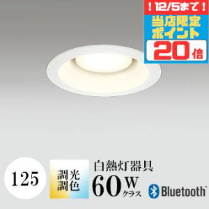 y|Cg20{5܂ŁIz_ECg J125 EF M60W zCg Bluetooth HKv SB^(C fMޑΉ^) z16° gU tbg`LED