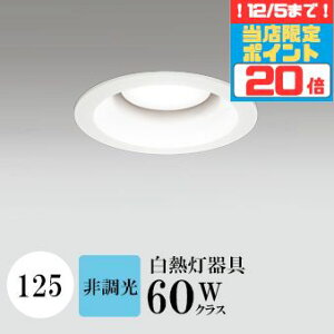 y|Cg20{5܂ŁIz_ECg J125 F(5000K) M60W zCg HKv SB^(C fMޑΉ^) z16° gU tbg`LED