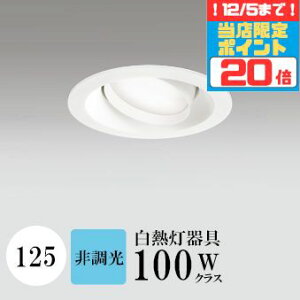 y|Cg20{5܂ŁIz_ECg J125 F(5000K) M100W zCg HKv SB^(C fMޑΉ^) z114° gU tbg`LED